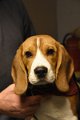 Afb_20190127_skye (11)